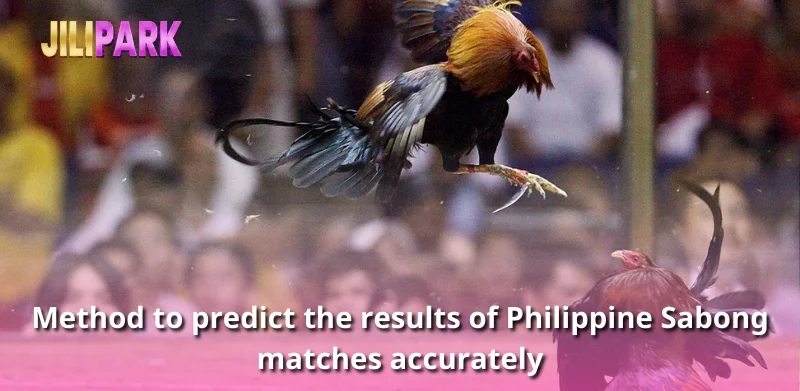 Method to predict the results of Philippine Sabong matches accurately