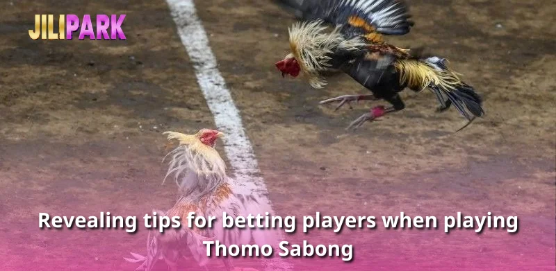 Revealing tips for betting players when playing Thomo Sabong