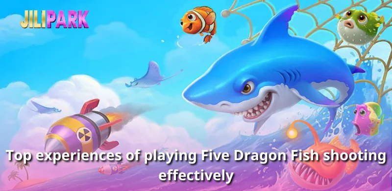 Top experiences of playing Five Dragon Fish shooting effectively