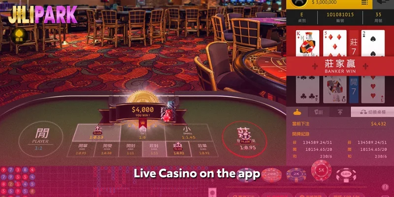 Live Casino on the app
