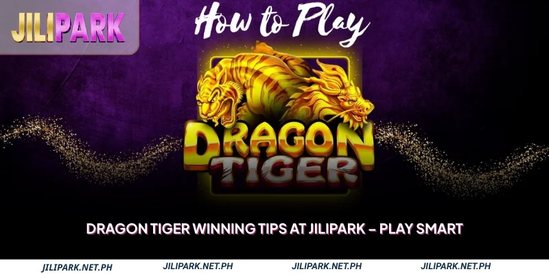 Dragon Tiger Winning Tips at JILIPARK