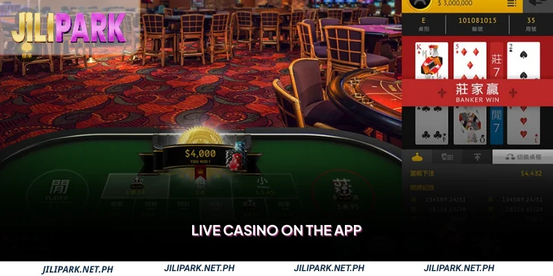 Live Casino on the app